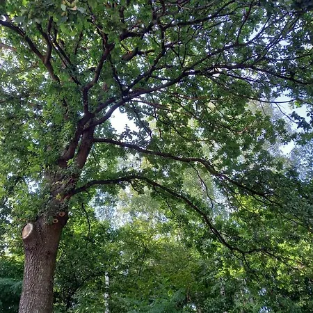 Σπίτι διακοπών Queen *