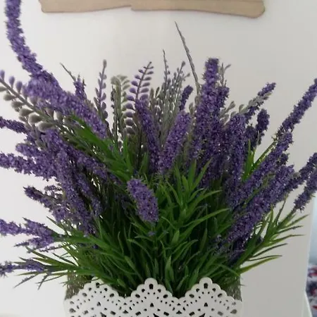 Queen Σπίτι διακοπών